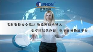 上海空運私人物品機場進出口報關指南及專業(yè)代理服務解析